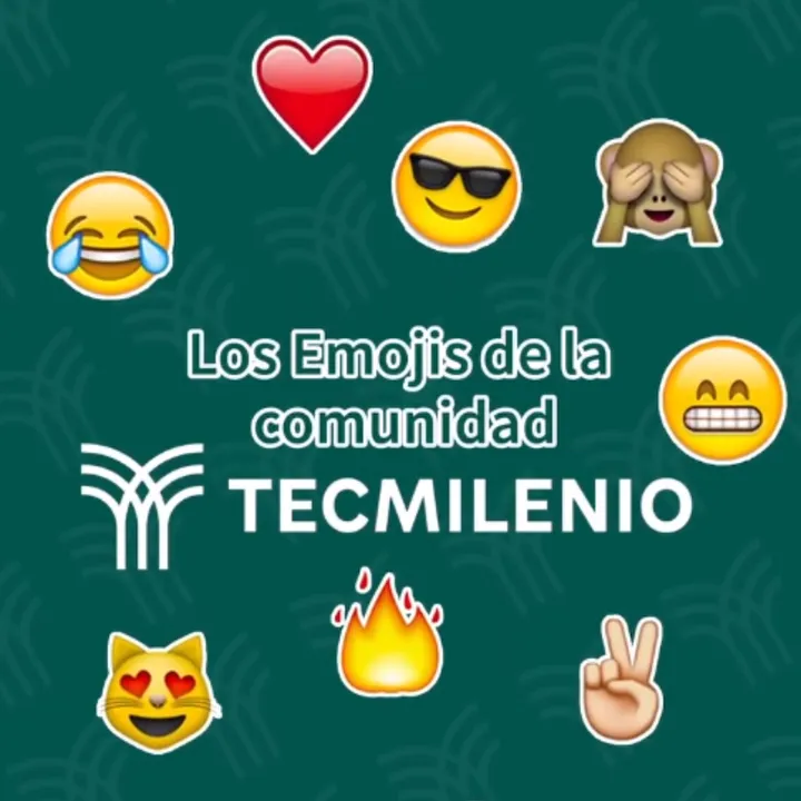 Tecmi — behind the channel